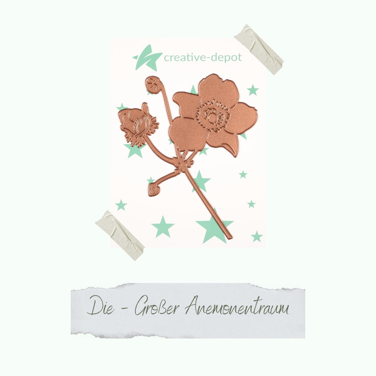 Die - Großer Anemonentraum